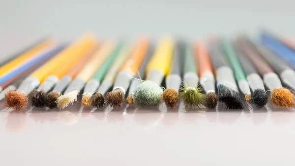 Set of different paintbrushes with white background — Stock Photo, Image