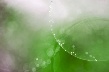 baloncuklar, jöle topları ile light soyut sualtı oyunları