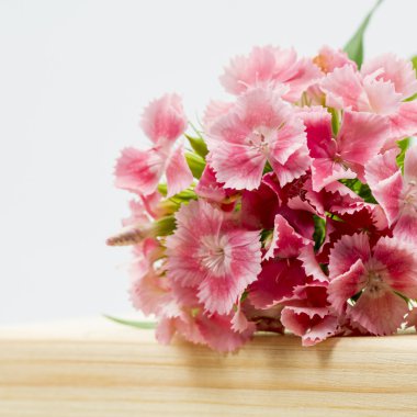 ahşap yüzeye ayrıntılarla güzel Çinli karanfil (dianthus chinensis)