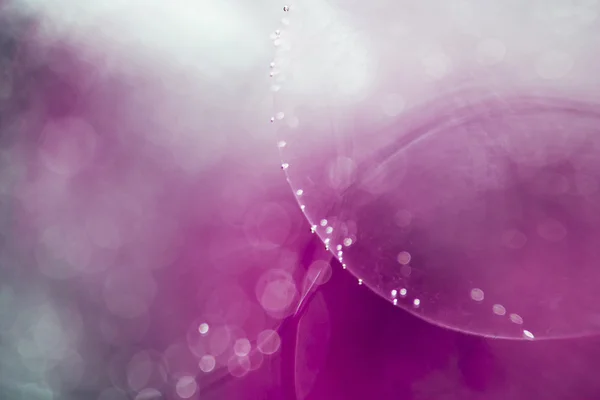 泡、ゼリーのボールと光で抽象的な水中ゲーム — ストック写真