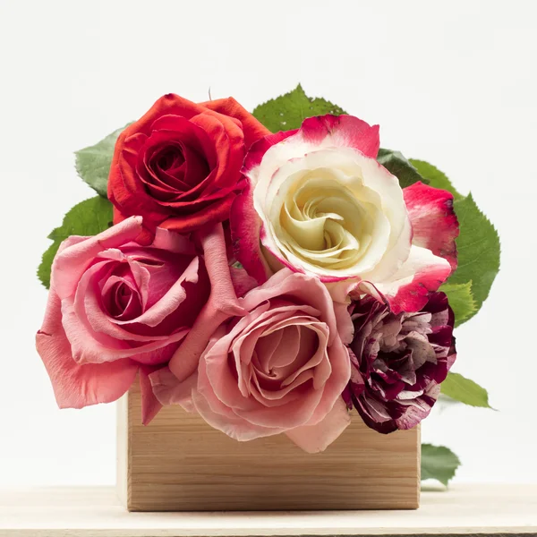 Rosas coloridas, bonitas e delicadas em uma superfície de madeira — Fotografia de Stock