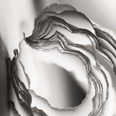 siyah ve beyaz soyut kompozisyon krep, ışıklar ve gölgeler