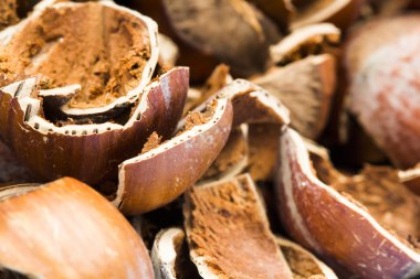 fındık kabukları ahşap arka plan