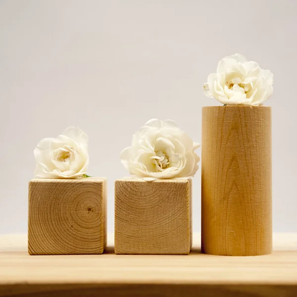 Wooden geometrical pieces with white roses and light grey background — Stock Photo, Image
