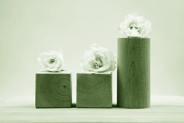 Piezas geométricas de madera con rosas blancas y fondo gris claro —  Fotos de Stock