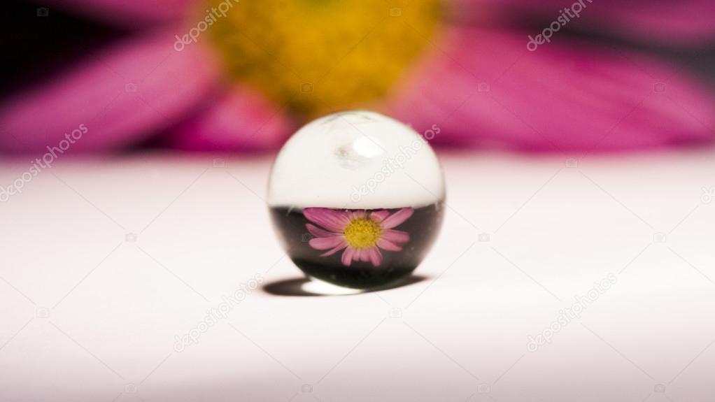 Abstract composition with flower reflected in a glass ball