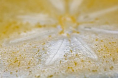 Trabzon hurması dilim - doku