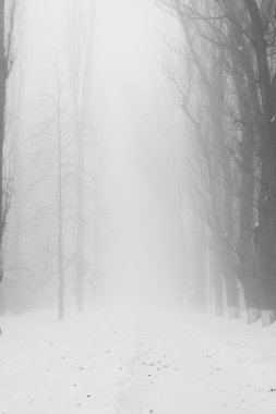 Peyzaj Park kar yağışı