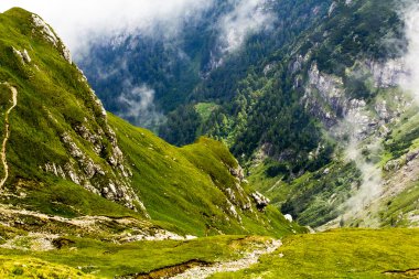 Peyzaj Park kar yağışı