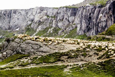 Peyzaj Park kar yağışı