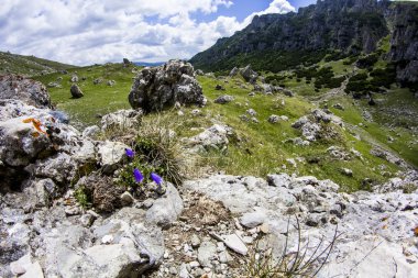 Romanya 'daki Güney Karpatlar' ın bir parçası olan Bucegi Dağları 'ndan manzara