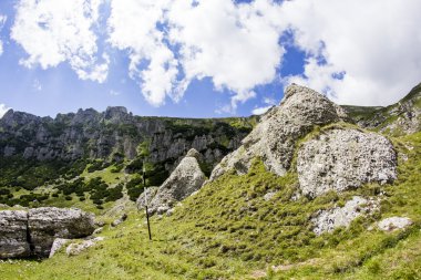 Romanya 'daki Güney Karpatlar' ın bir parçası olan Bucegi Dağları 'ndan manzara