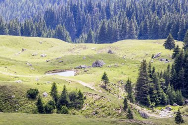 Landscape from Bucegi Mountains, part of Southern Carpathians in Romania clipart