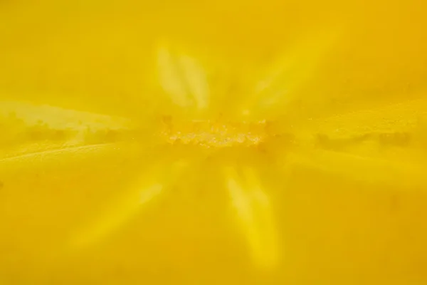 Persimmon slice - texture — Stock Photo, Image