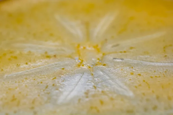 Persimmon slice - texture — Stock Photo, Image