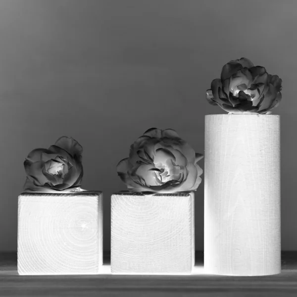 Wooden cylinders and white roses with light grey background — Stock Photo, Image