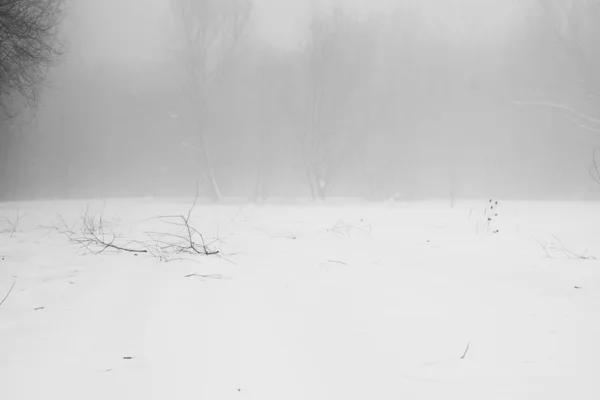 Nieva el paisaje en el parque — Foto de Stock