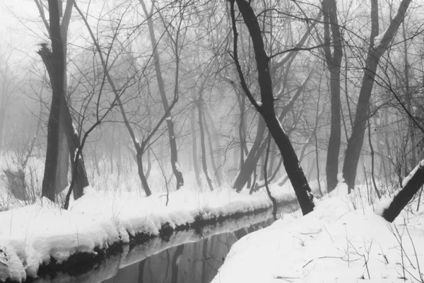 下雪在公园里的景观 — 图库照片