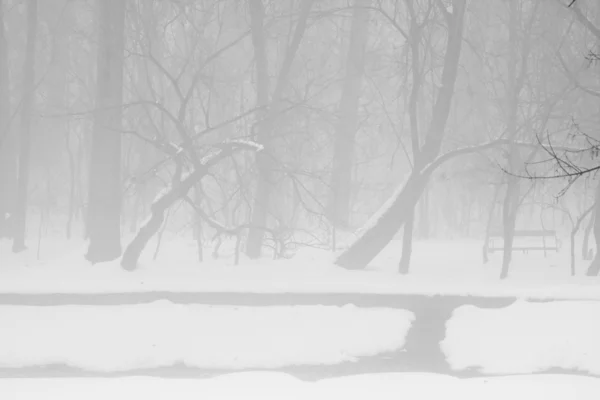 Schneelandschaft im Park — Stockfoto
