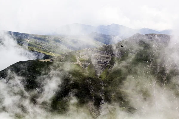 Paesaggio nevoso nel parco — Foto Stock