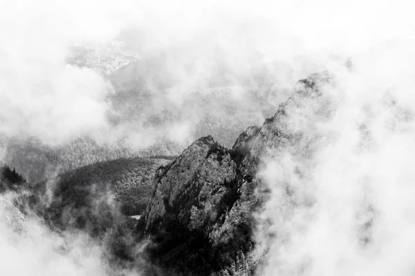 Paesaggio nevoso nel parco — Foto Stock