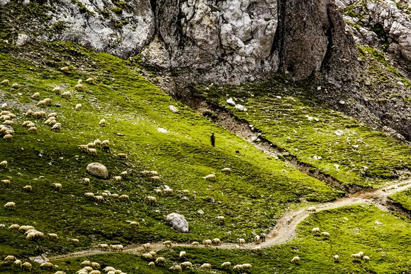 Paesaggio nevoso nel parco — Foto Stock