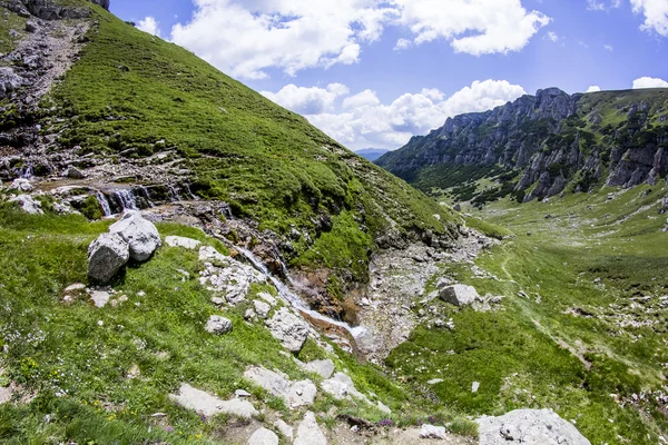 Sneeuwt landschap in het park — Stockfoto