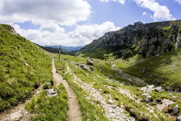 Ландшафт з гір Бусегі, частина південних Карпат Румунії. — стокове фото