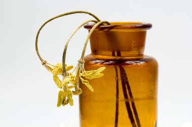 Sarı, kurutulmuş Lale dibekler eski bir kavanoz ile kompozisyon