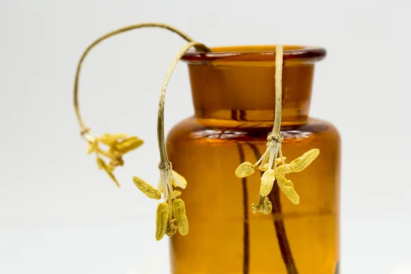 Komposition mit gelben, getrockneten Tulpenstößeln in einem alten Glas — Stockfoto