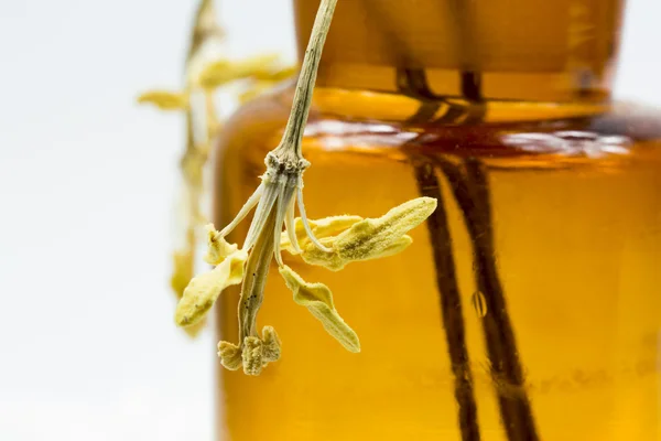 Komposition mit gelben, getrockneten Tulpenstößeln in einem alten Glas — Stockfoto