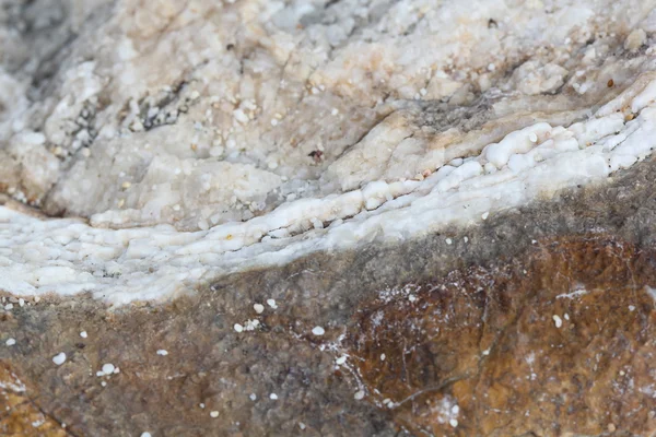 岩石的纹理和层数从爱琴海海滨 — 图库照片