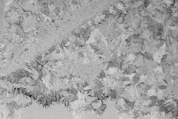 Ice flowers — Stock Photo, Image
