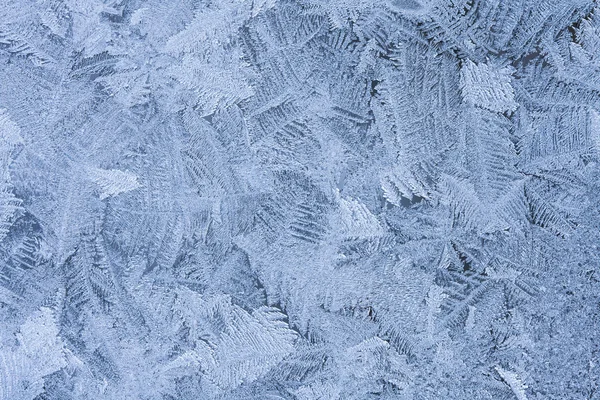 Flores de hielo — Foto de Stock