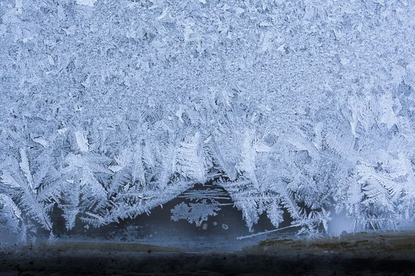 氷の花 — ストック写真