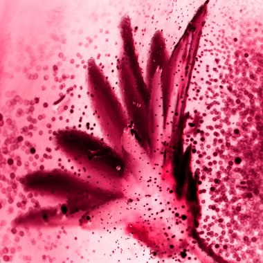 Kuru çiçek, kabarcıklar ile light sualtı soyut kompozisyon