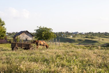 ve atımı ile kırsal manzara