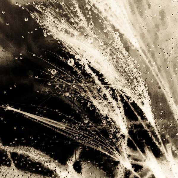 Πολύχρωμα υποβρύχια πικραλίδα σπόρων με φυσαλίδες — Φωτογραφία Αρχείου