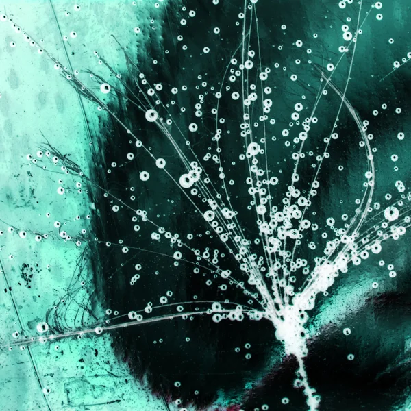 Kleurrijke onderwater paardebloem zaden met bubbels — Stockfoto