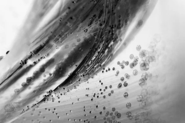 Coloridas semillas de diente de león bajo el agua con burbujas —  Fotos de Stock