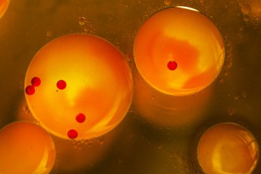 streszczenie, kolorowy kompozycja z oliwą, wodą i atrament