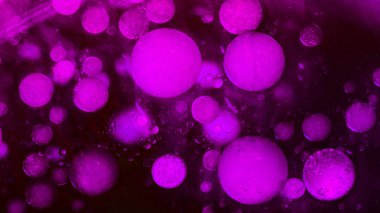 streszczenie, kolorowy kompozycja z oliwą, wodą i atrament