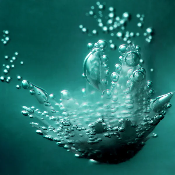 Composición subacuática abstracta con flor seca, burbujas y luz —  Fotos de Stock