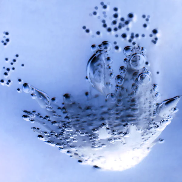 Composição subaquática abstrata com flor seca, bolhas e luz — Fotografia de Stock