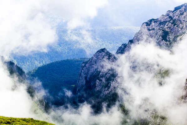 Landscape from Bucegi Mountains, part of Southern Carpathians in Romania in a very foggy day — Stock Photo, Image