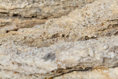 kayalar - doku ve Ege sahil katmanlardan