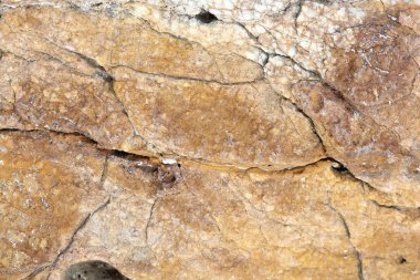 kayalar - doku ve Ege sahil katmanlardan