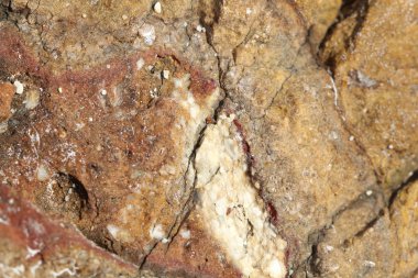 kayalar - doku ve Ege sahil katmanlardan