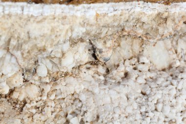 kayalar - doku ve Ege sahil katmanlardan