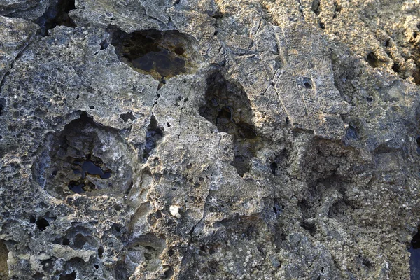 Rocas - texturas y capas de la orilla del mar Egeo —  Fotos de Stock